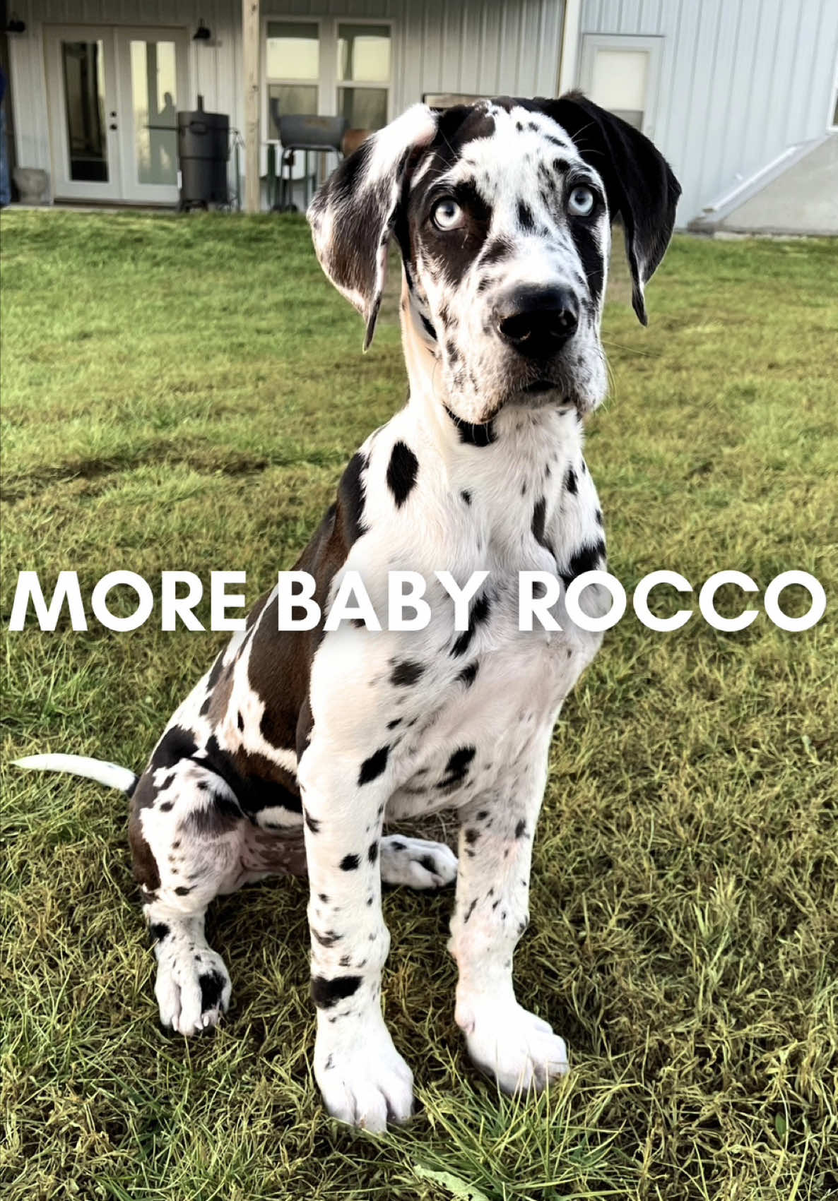 @Rocco