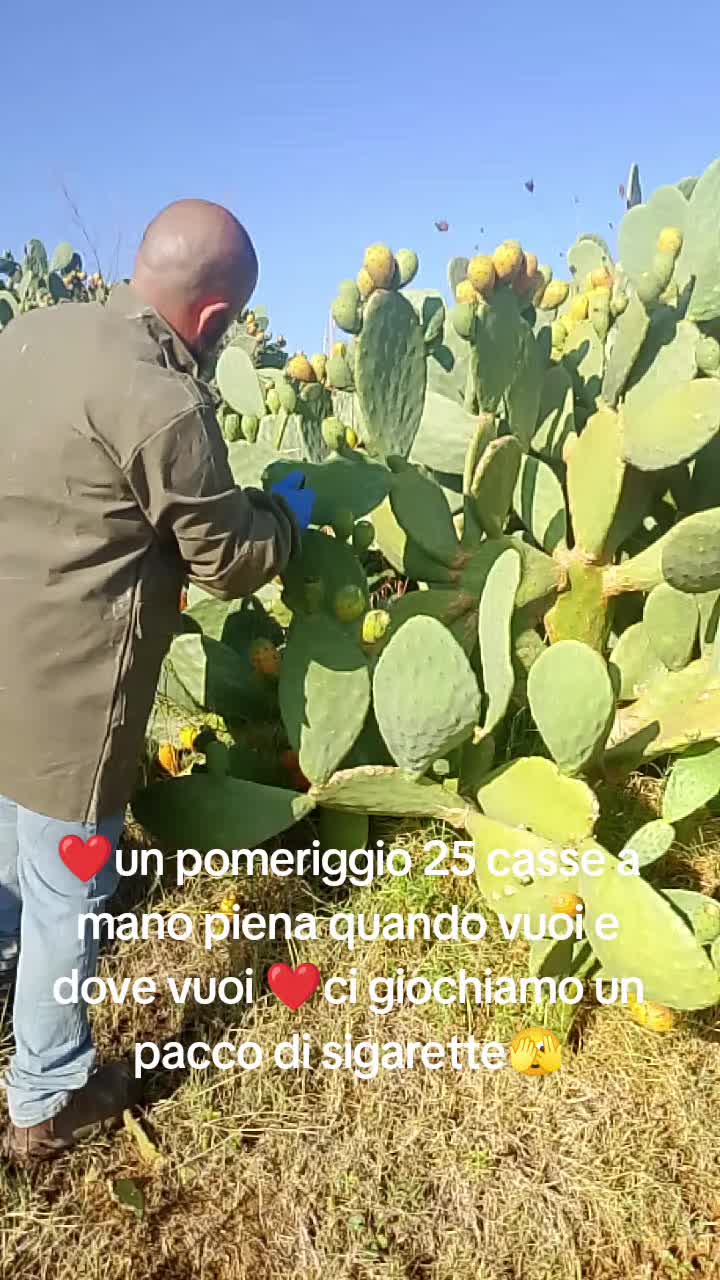@Stefano Zagara