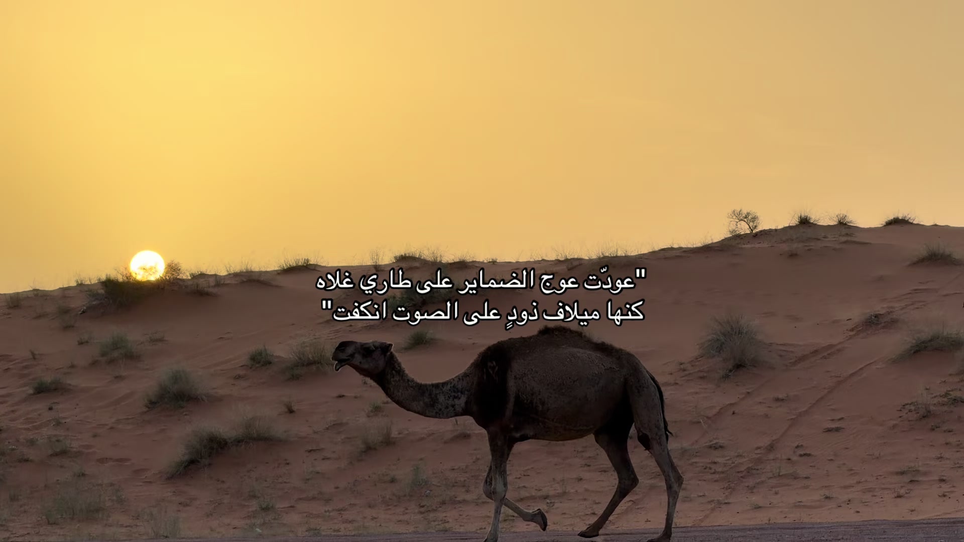 @آمـال ᥫ᭡