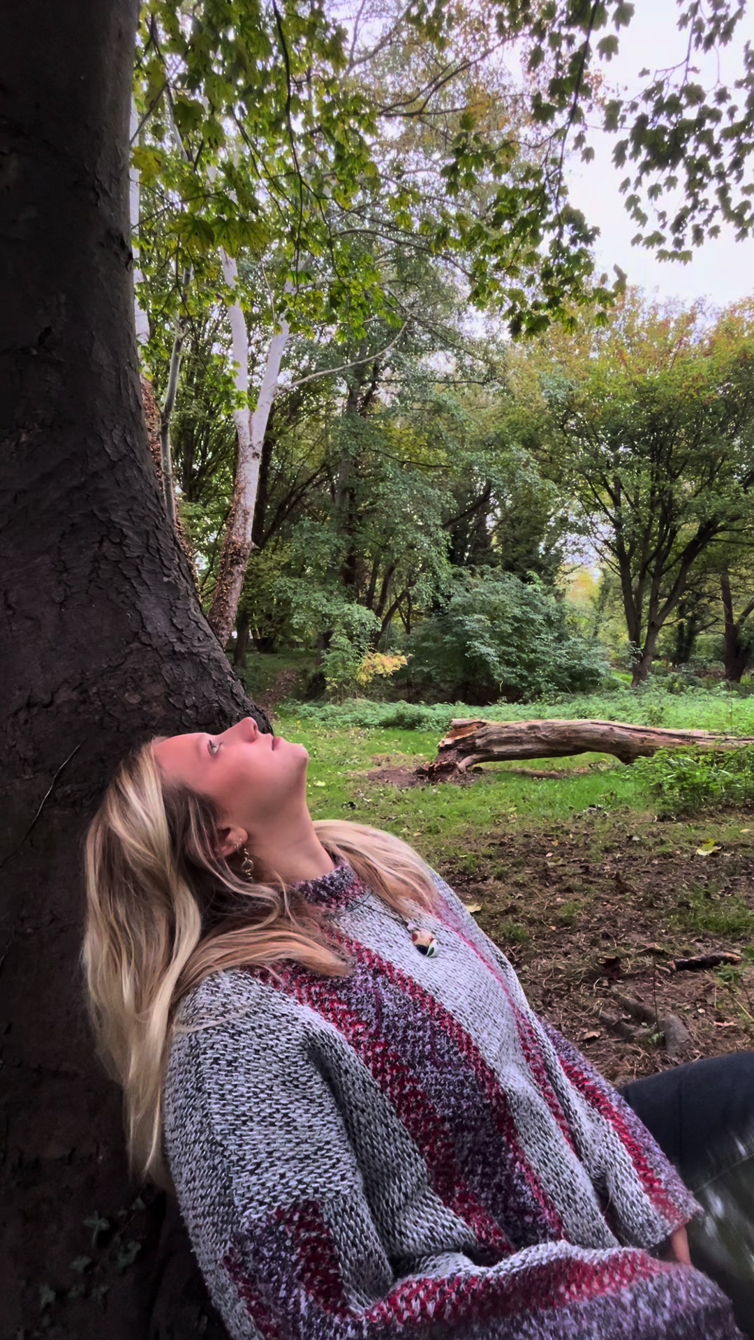 @hollywollycholly
