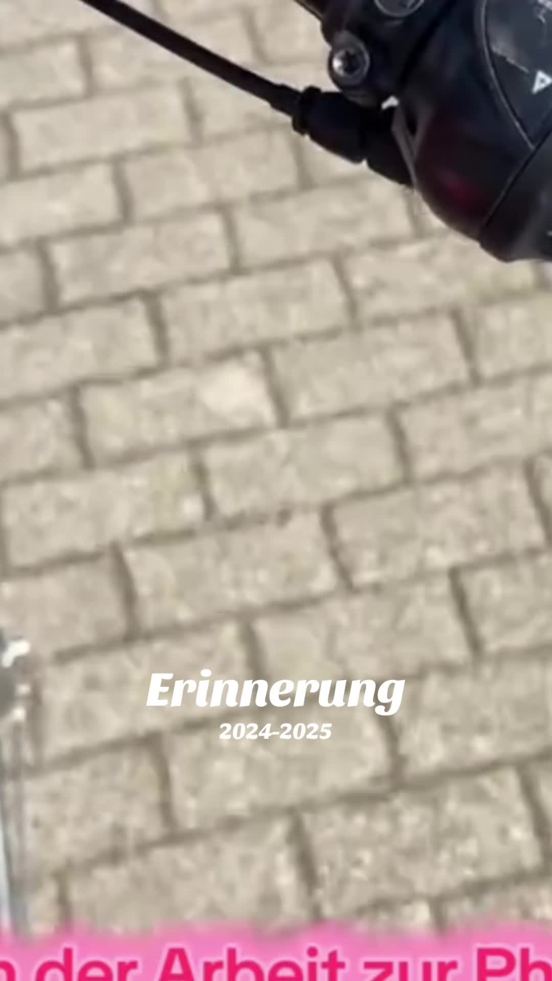 @DieKleine 🦋