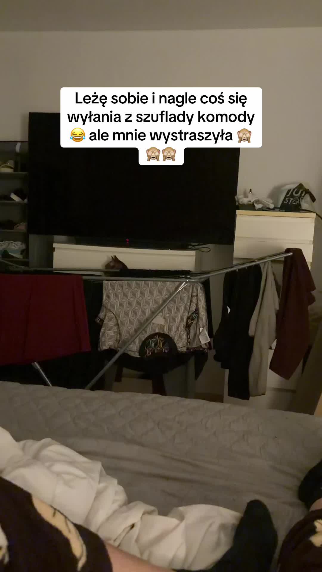 @Zofka