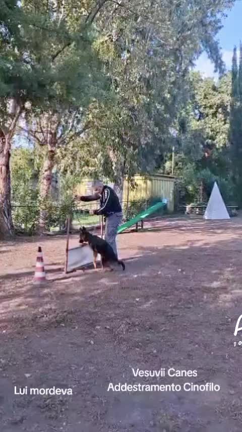 @pasqualescognami67