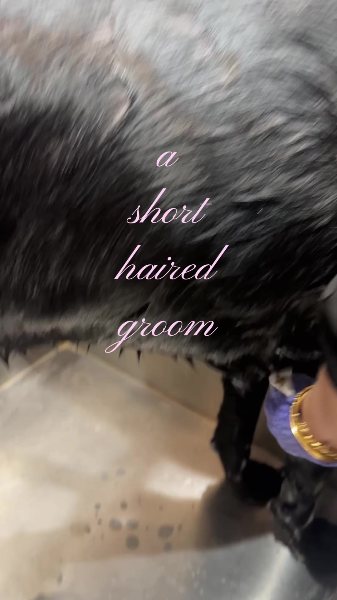 @DevenickDogs