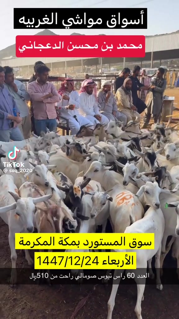 @mohamed_ksa0