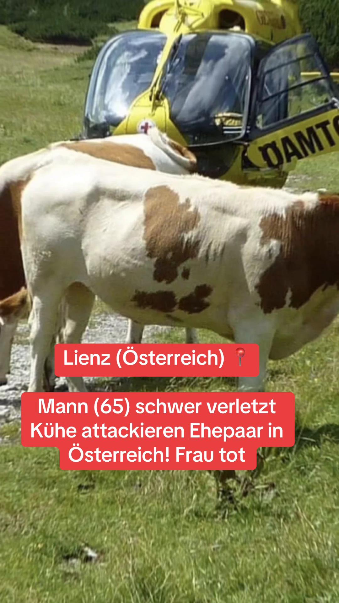 @BreakingNewsGermany2
