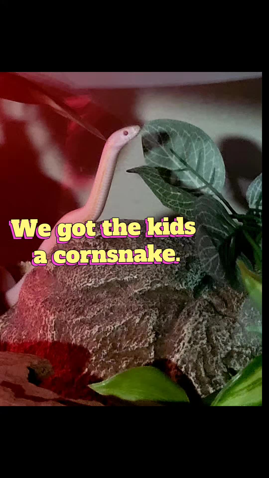 @Kristan