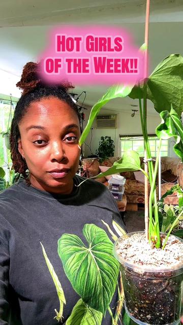 @PlantLadyNico🪴