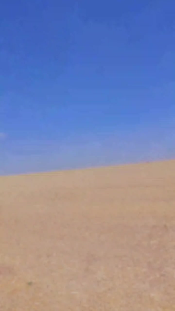 @علي الخالد