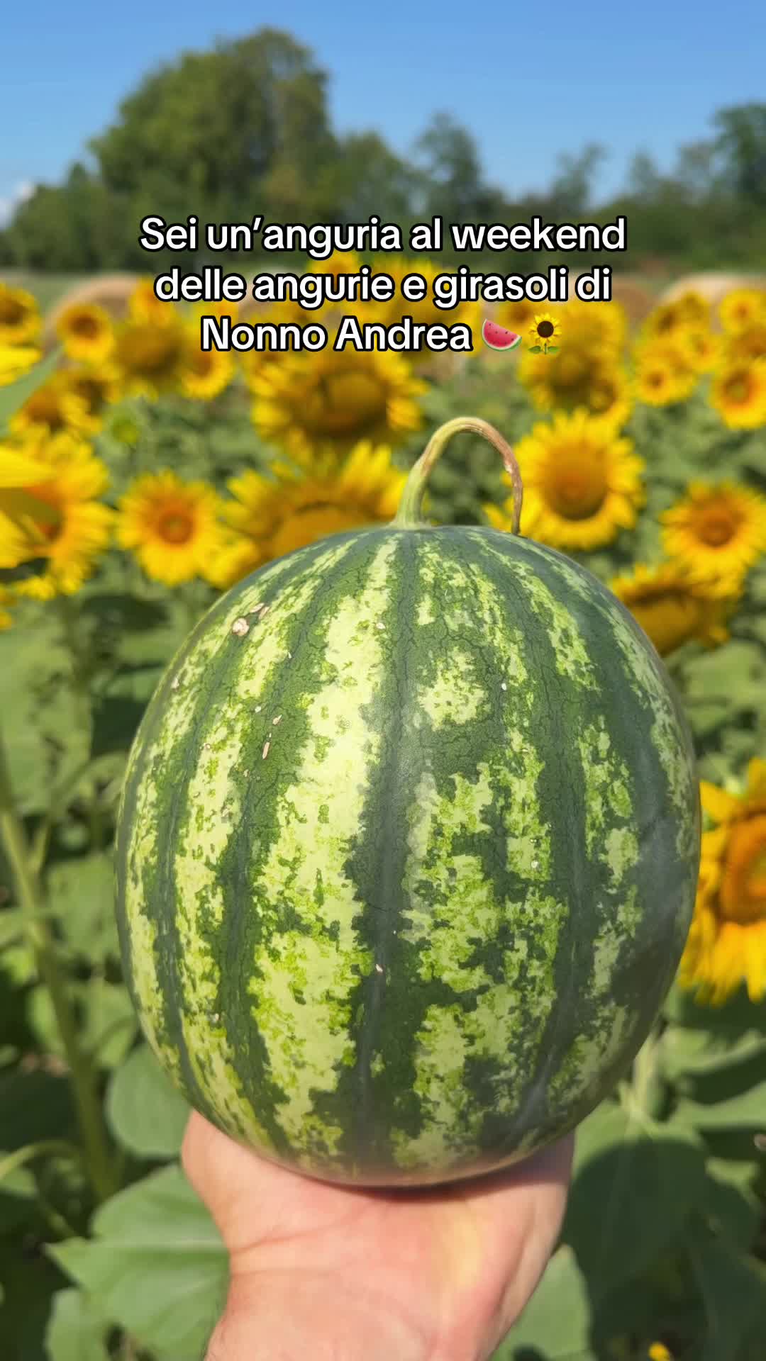 @Nonno Andrea