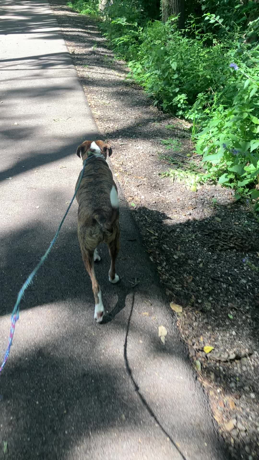@Hikingwithstanley
