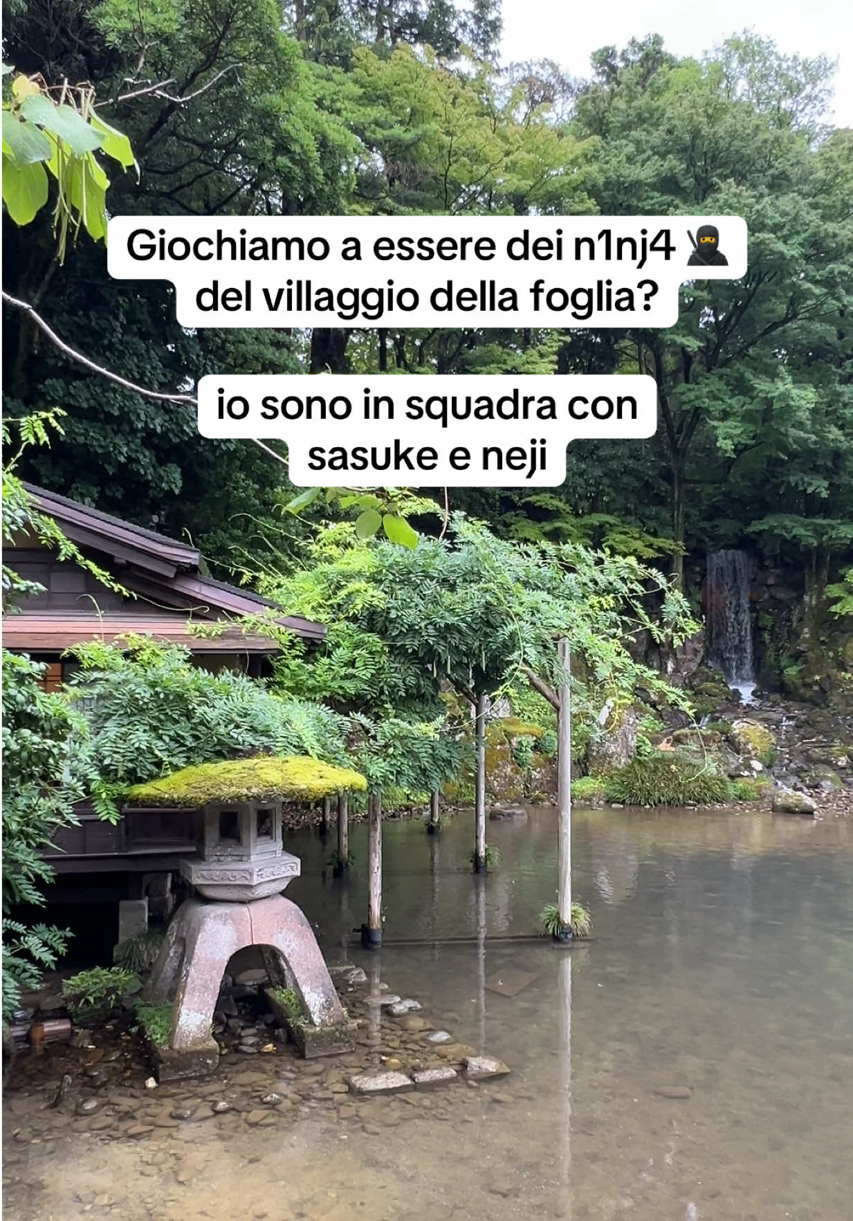 @🌸Ari | NipponTok🇯🇵🇮🇹