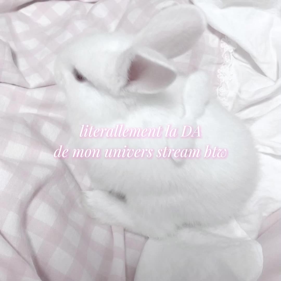 @⋆｡˚꒰ঌ liunette ໒꒱˚｡⋆