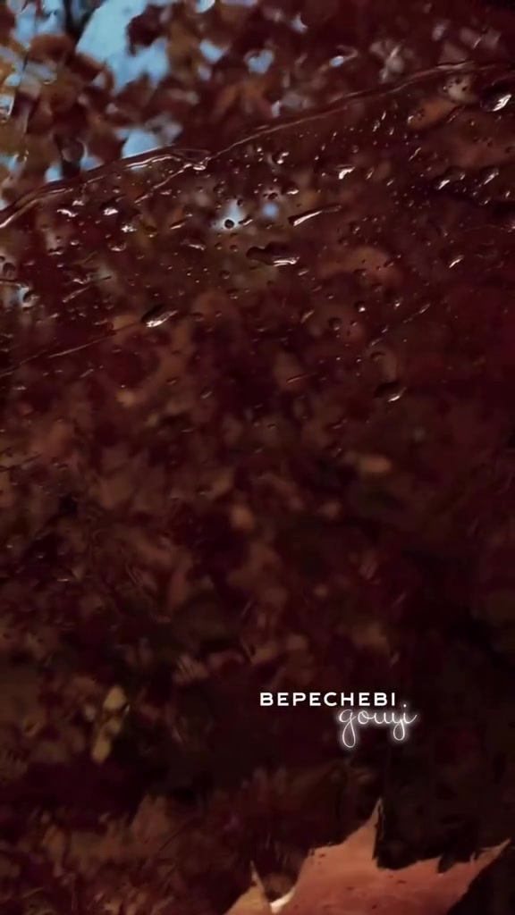 @😈ЗСУ Позитивчик 😜