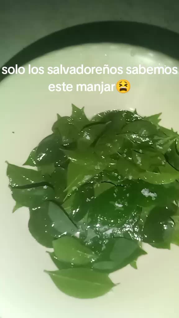 @jonaa_11