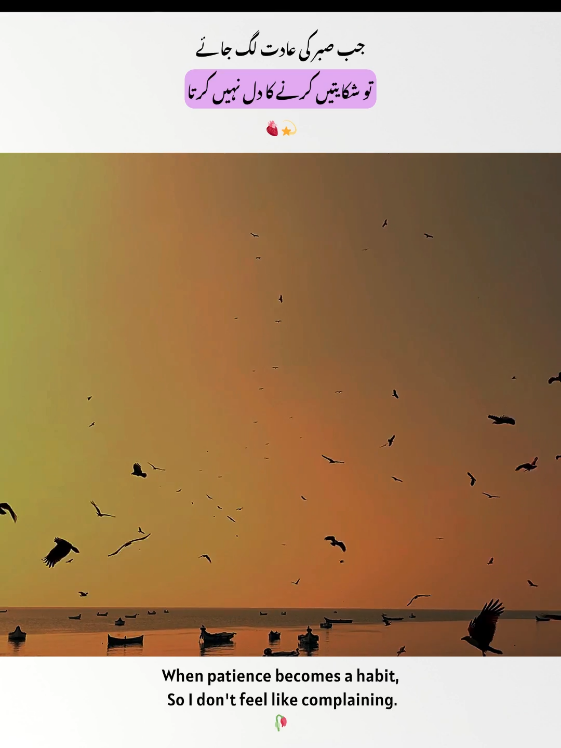 @Ehl-e-Ehsaas