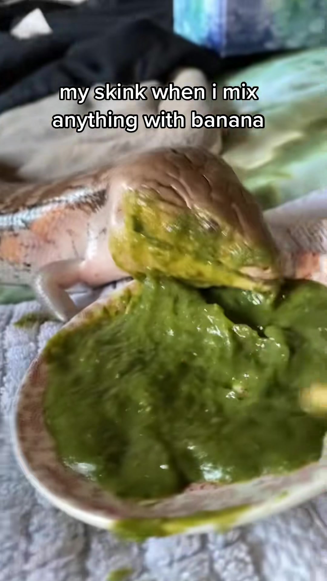 @layla🦎🍃
