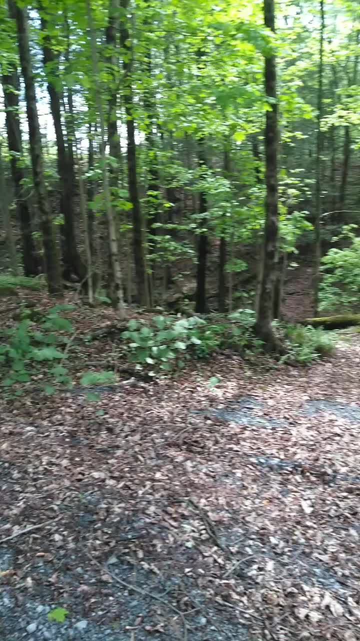 @thegoodnoise11