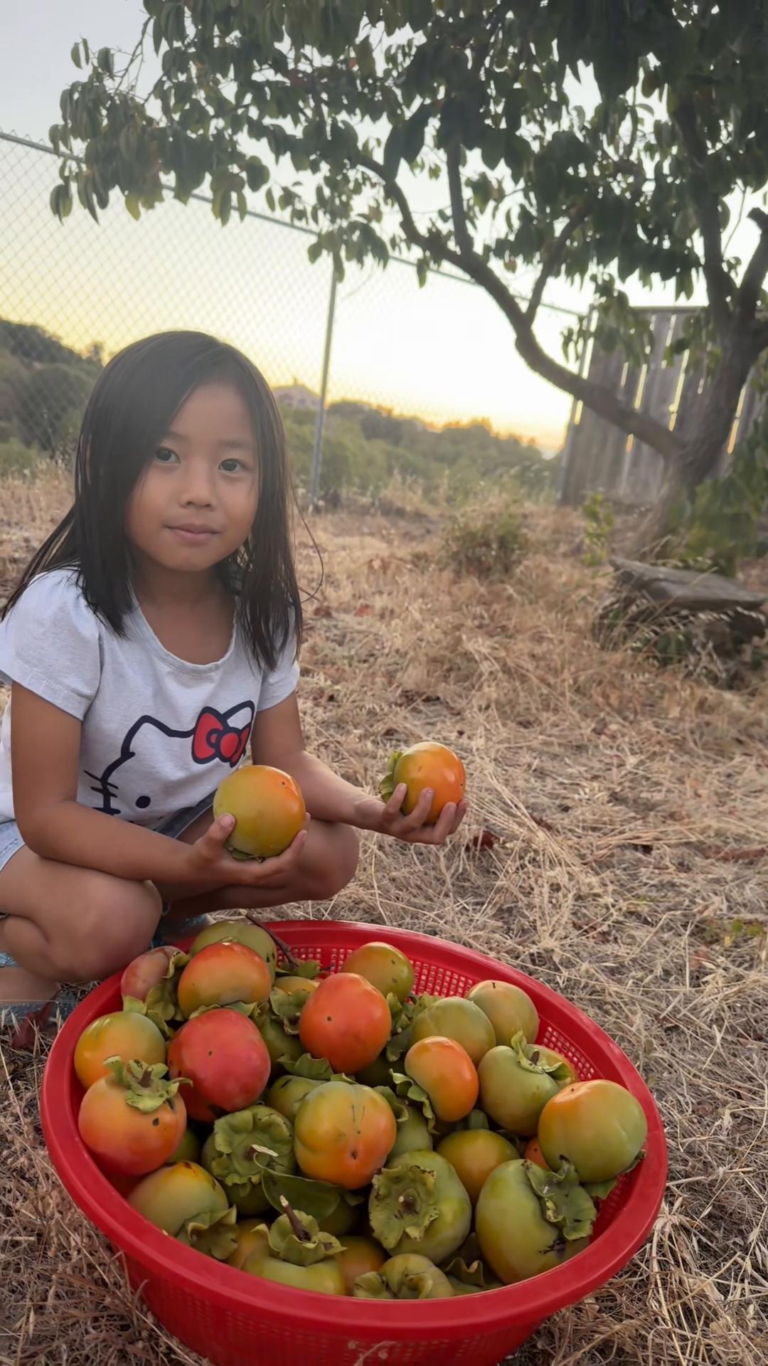 @Nai Ta Saechao