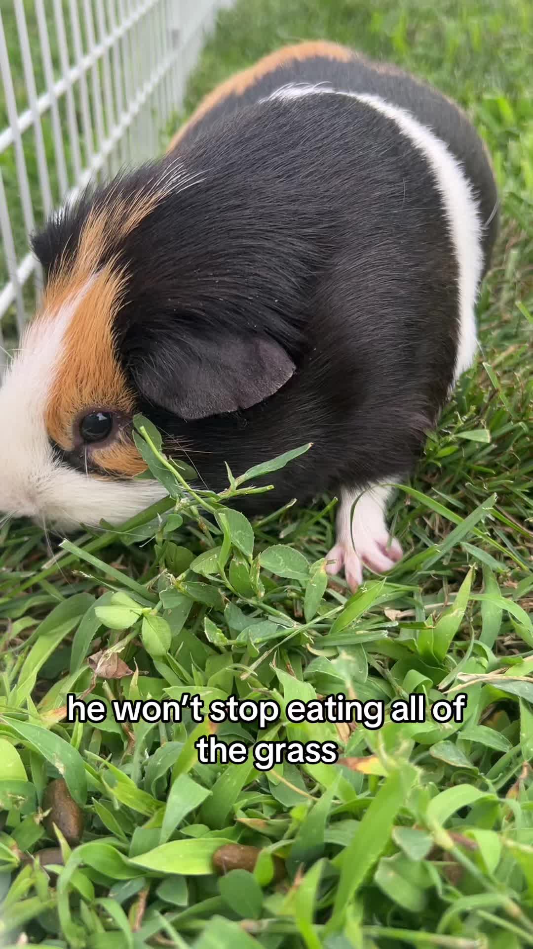 @vinny