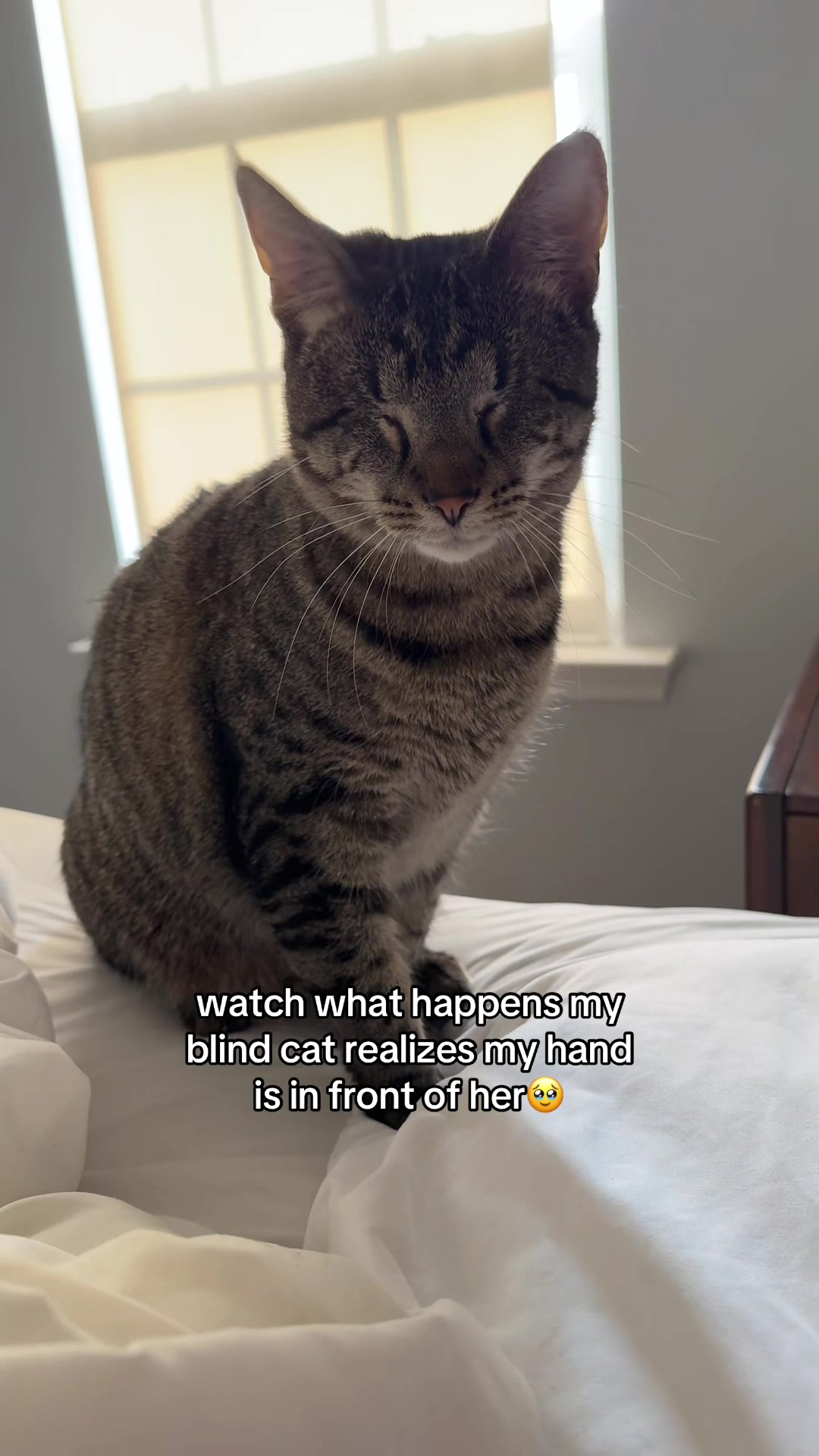 @𝘼𝙢𝙗𝙚𝙧 & 𝙎𝙩𝙚𝙫𝙞𝙚