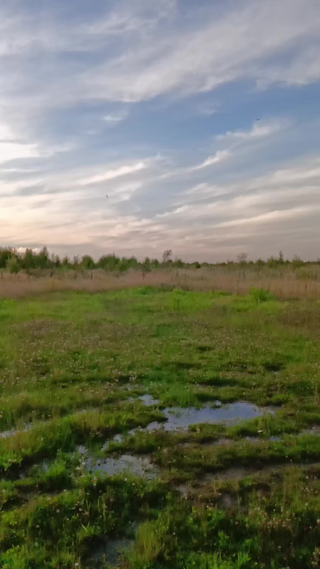 @тгк:Ddrone