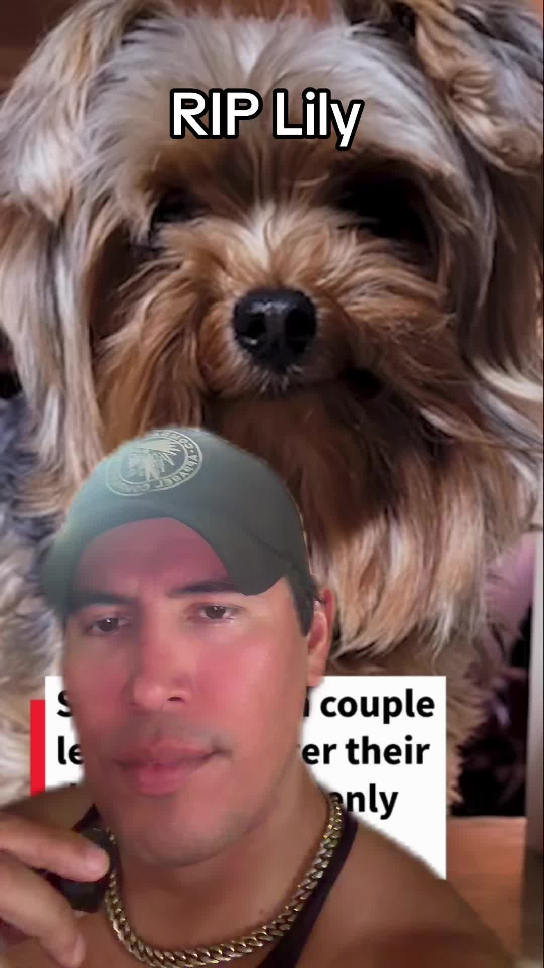 @🪶TheN8tiveDogfather🐾