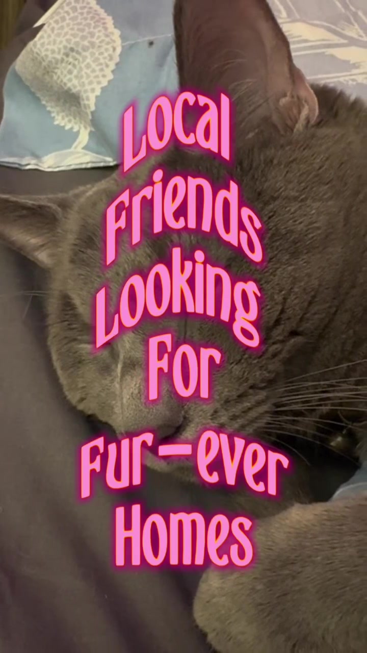 @Patti