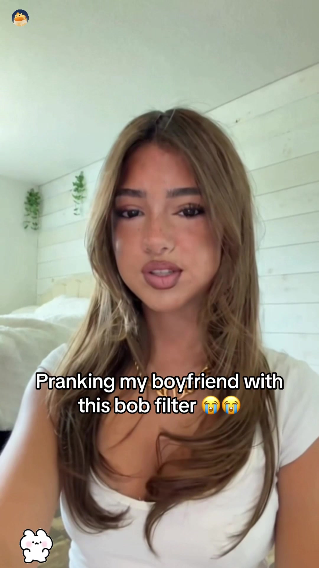 @Liswh