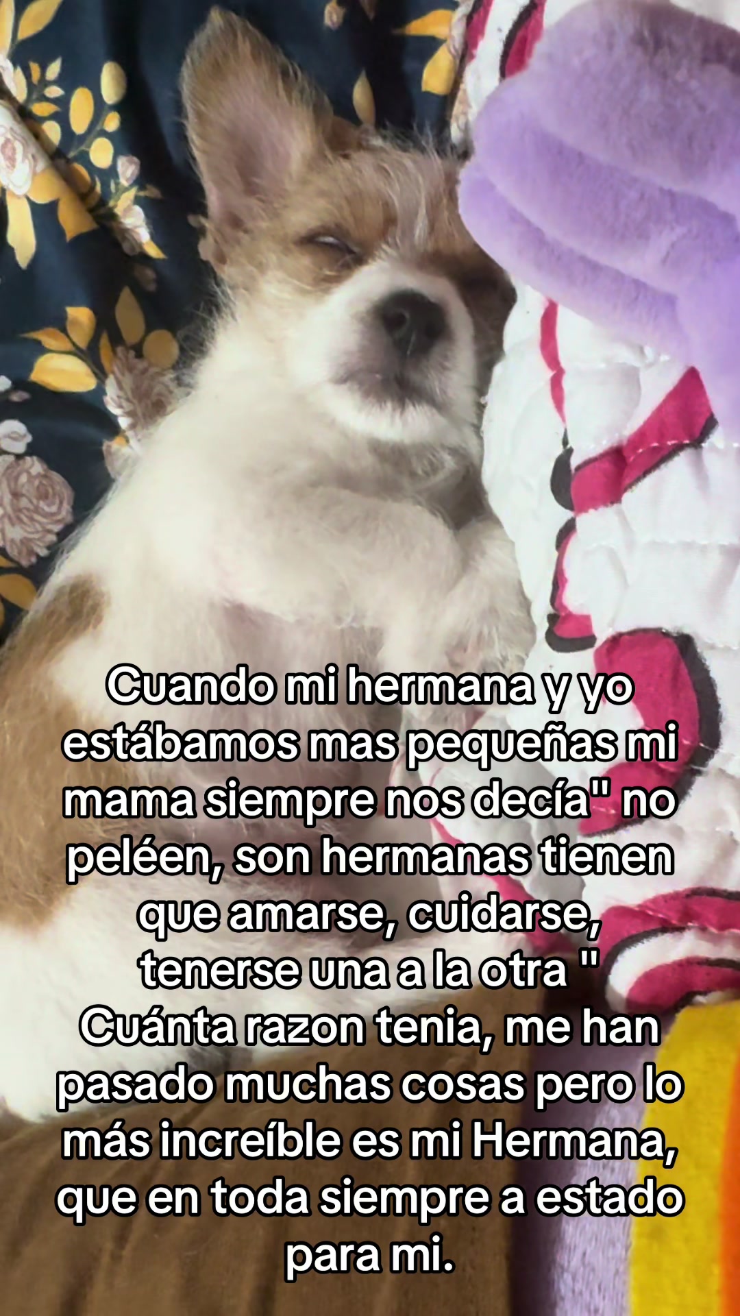 @Diana Castillo