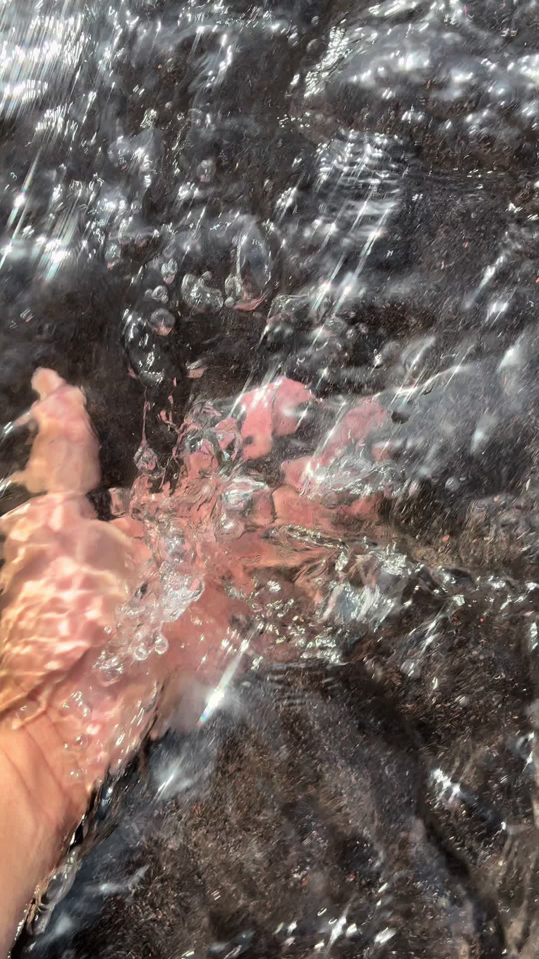 @_shixle