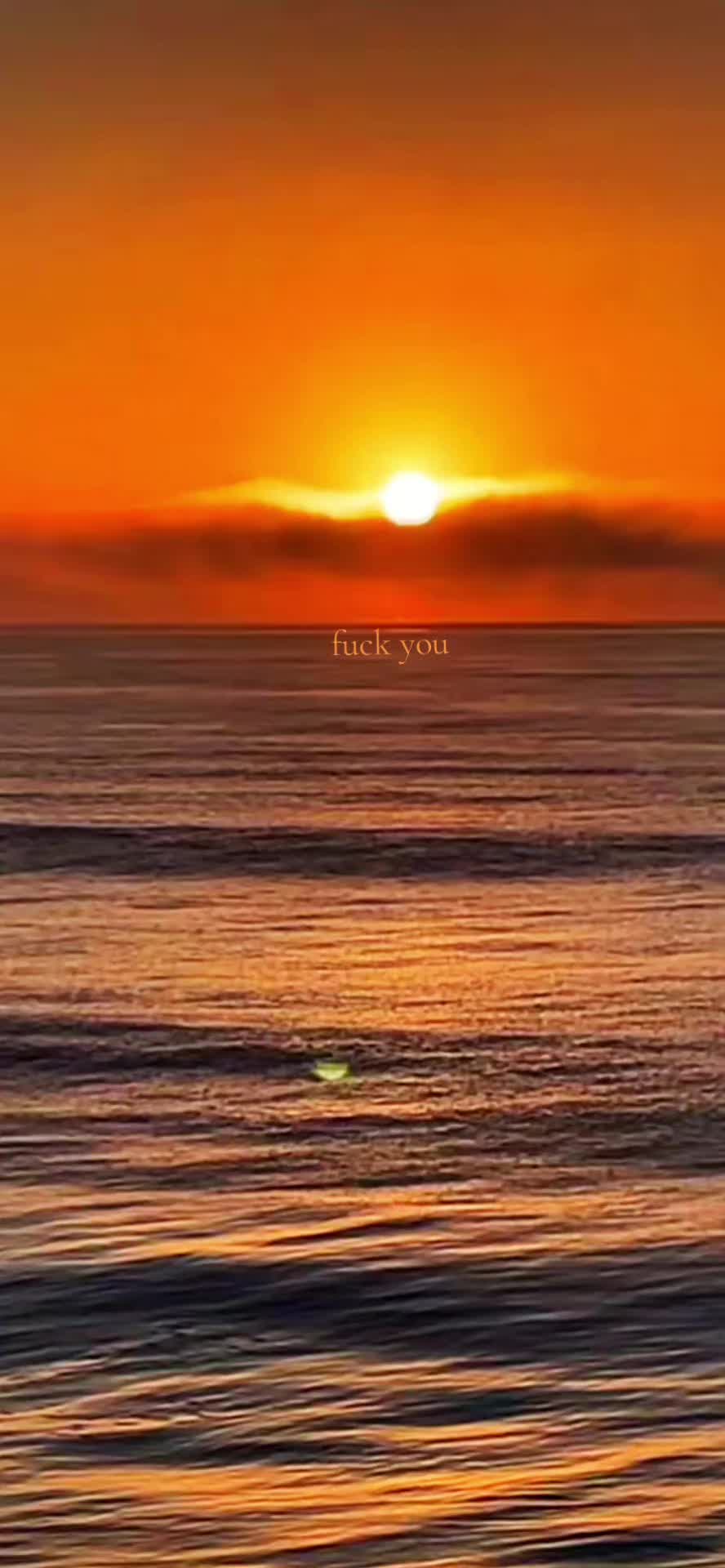 @🖤