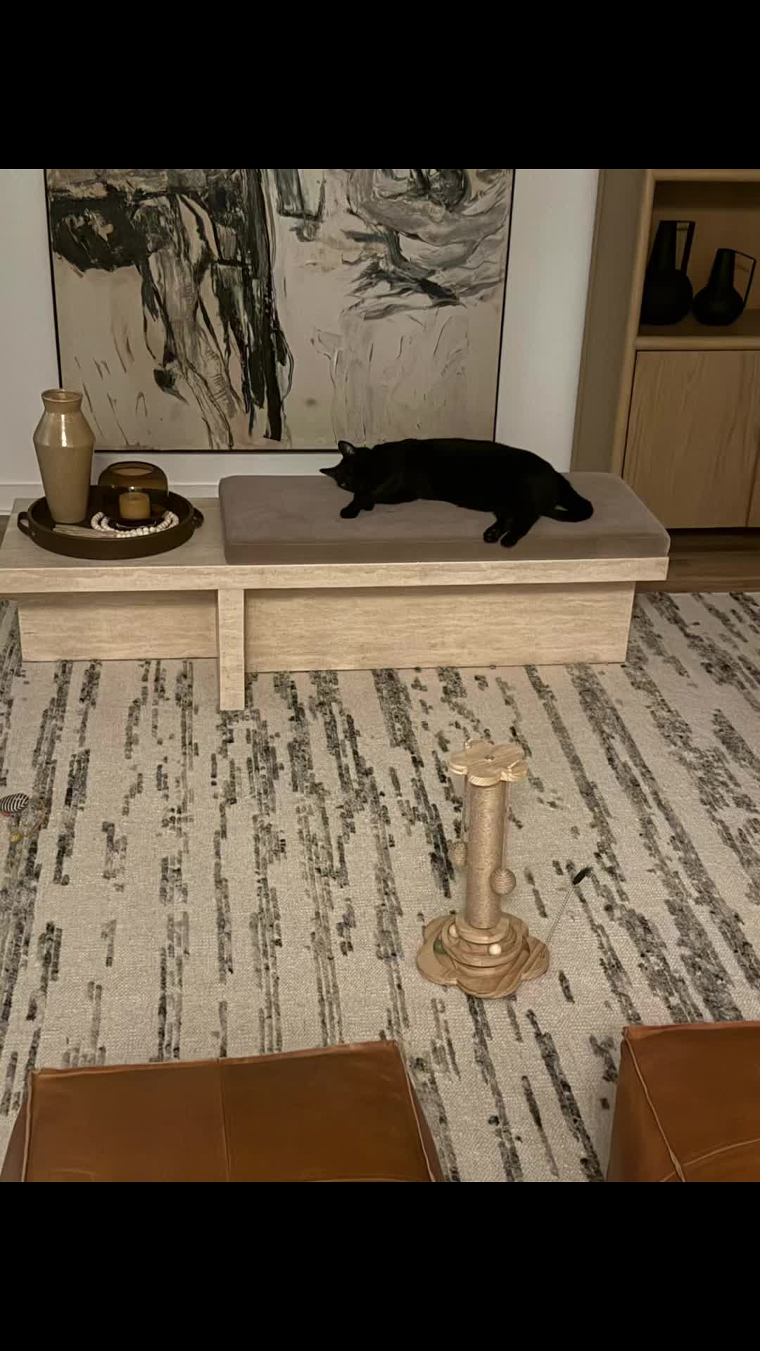 @Oscar&ensp;Jeremy&ensp;the&ensp;cat!