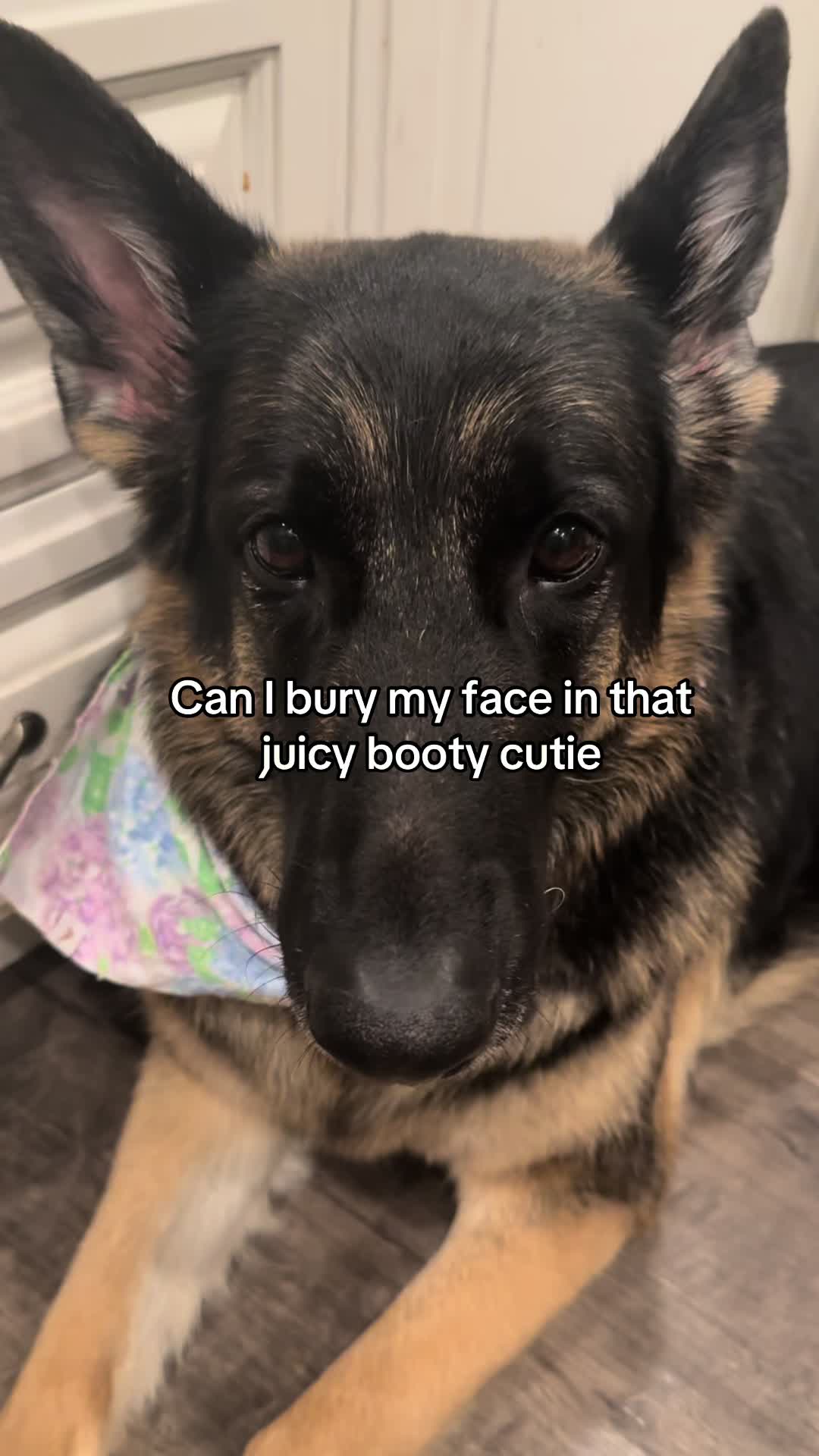 @Bhris