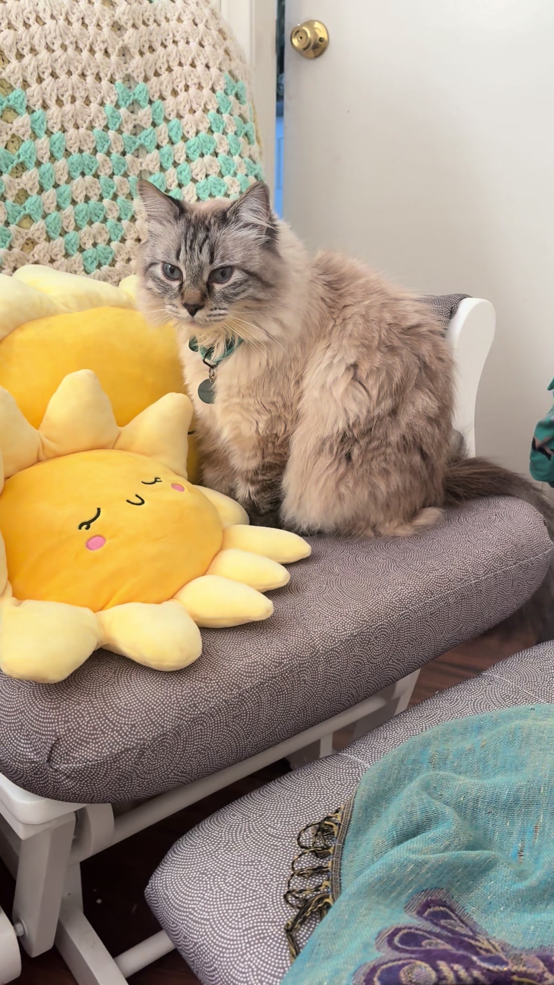@Brock Meowsnar