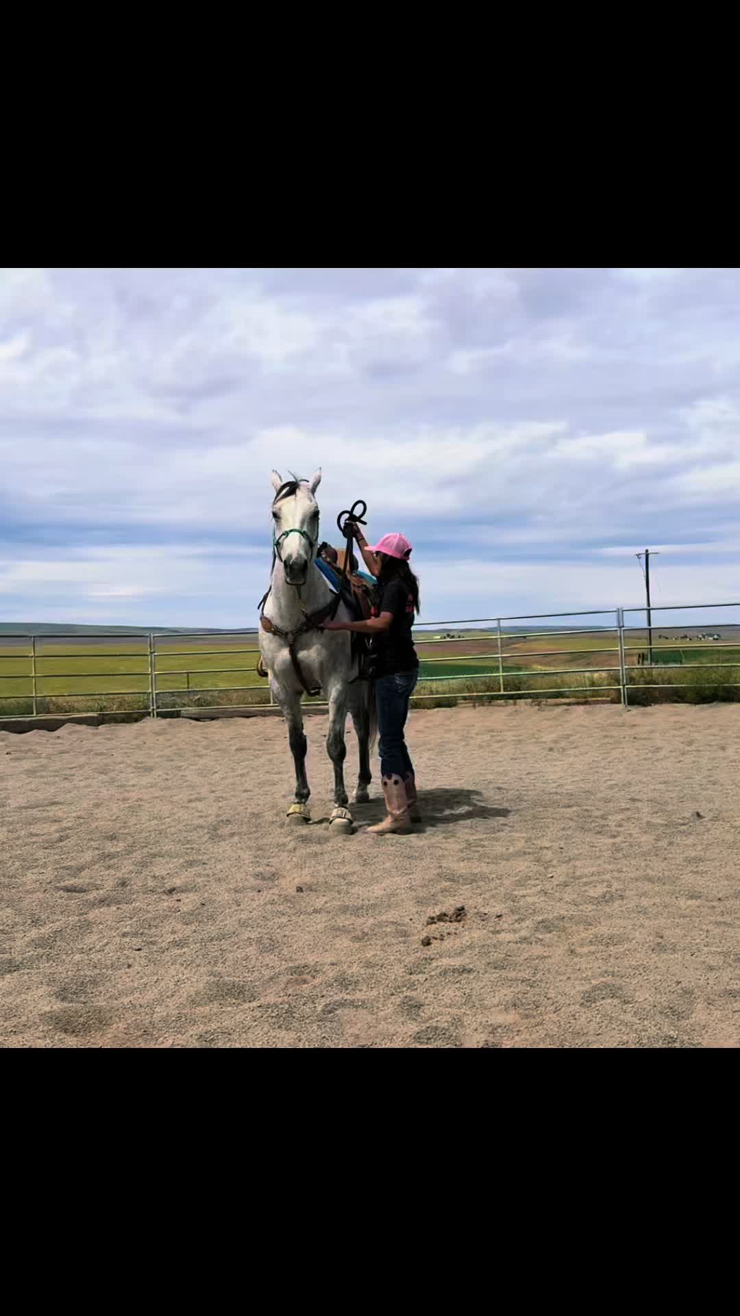 @Cowgirl Tuff Colt Training ❤️