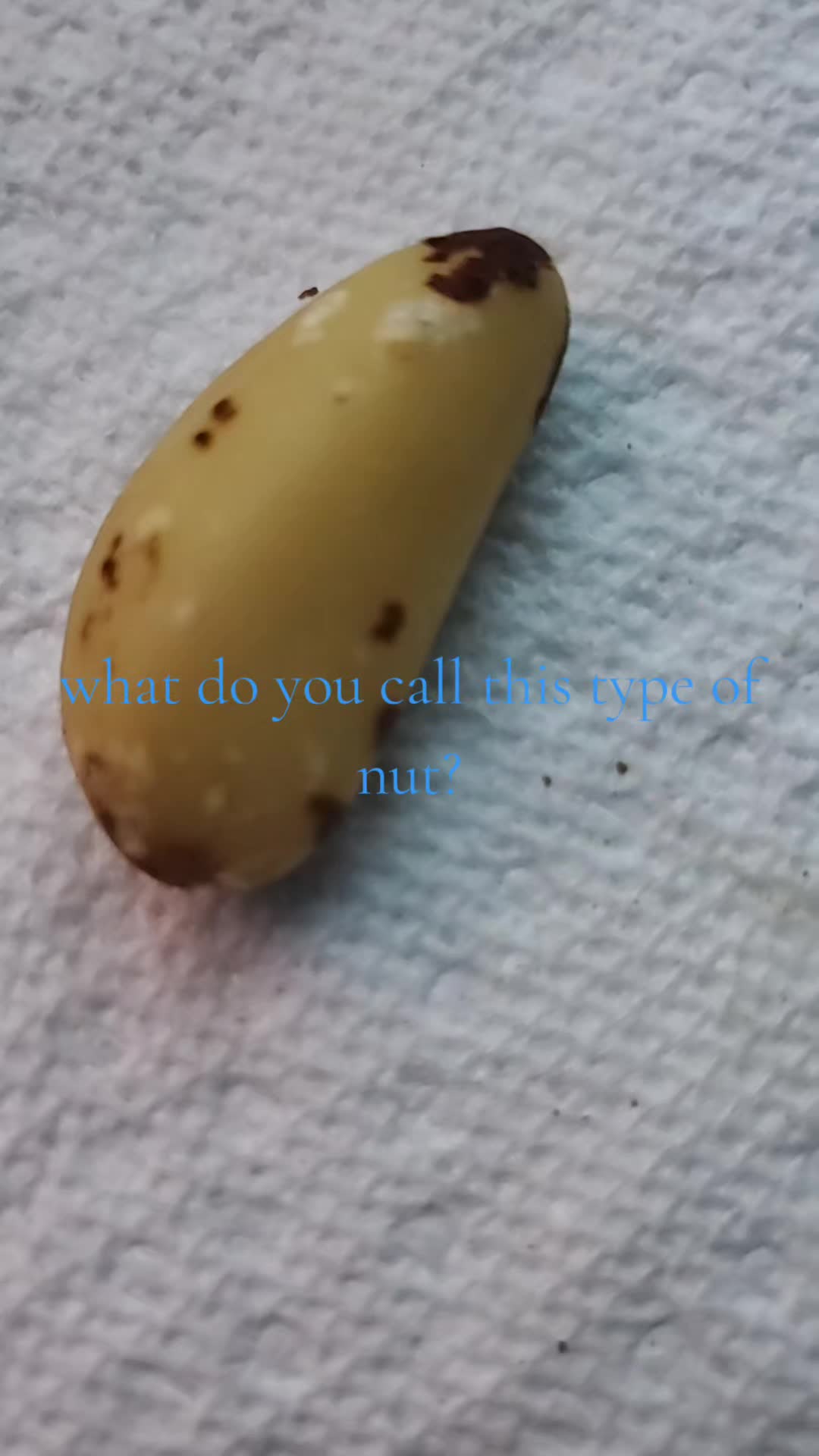 @StacyE