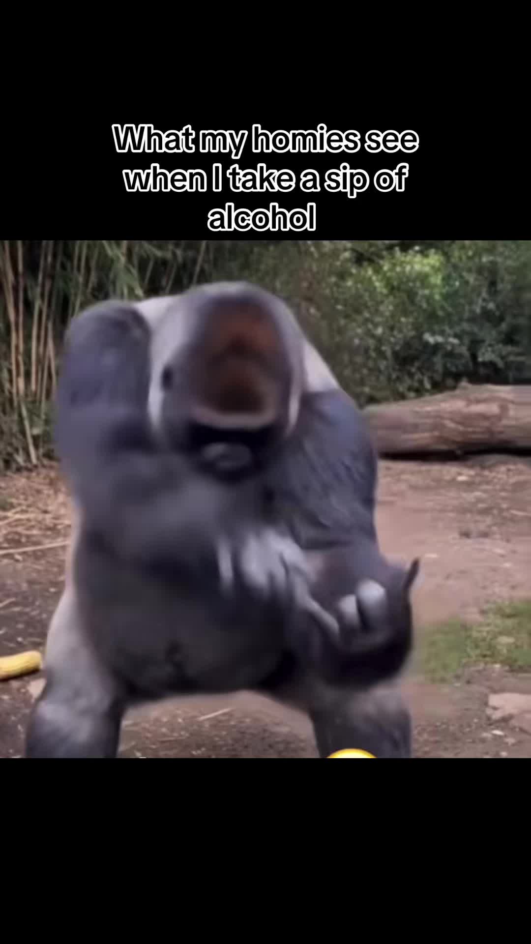 @๐๐ะณล๐๐ง๐ค