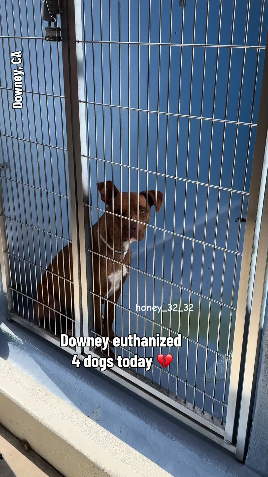 @Honey_323