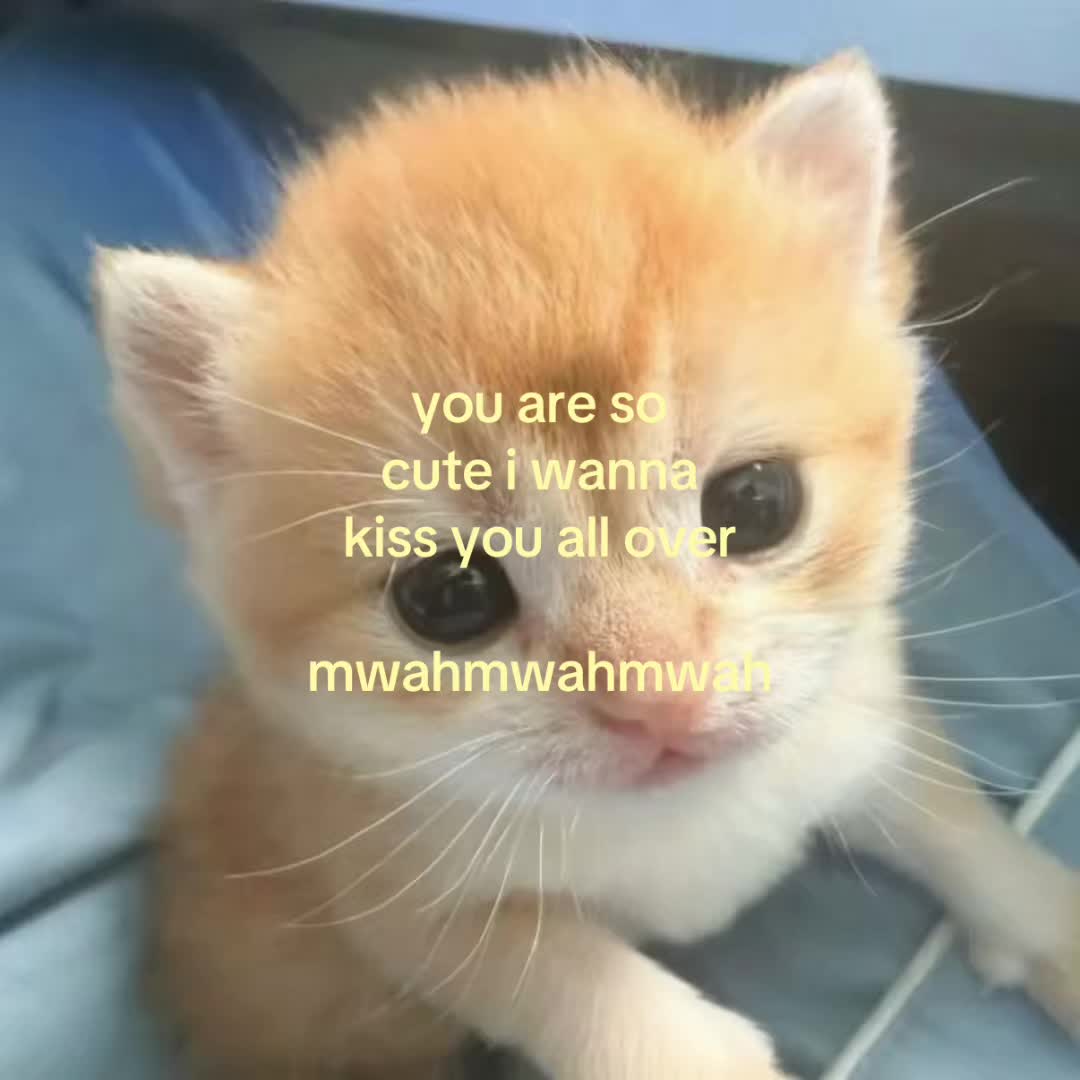@motionsoflove