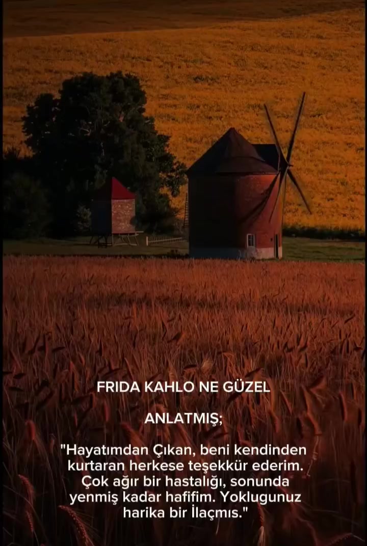 @zehra Aslan