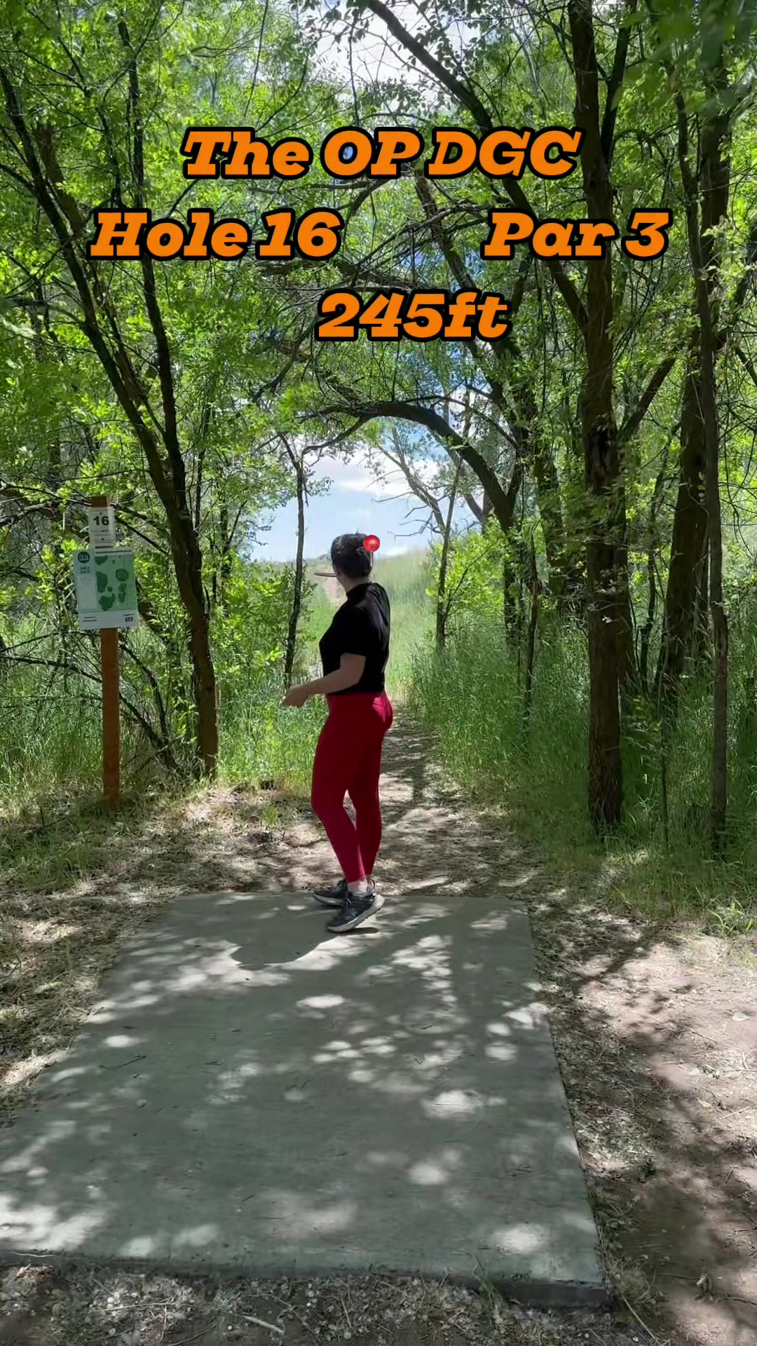 @HoustonWeHaveDiscGolf
