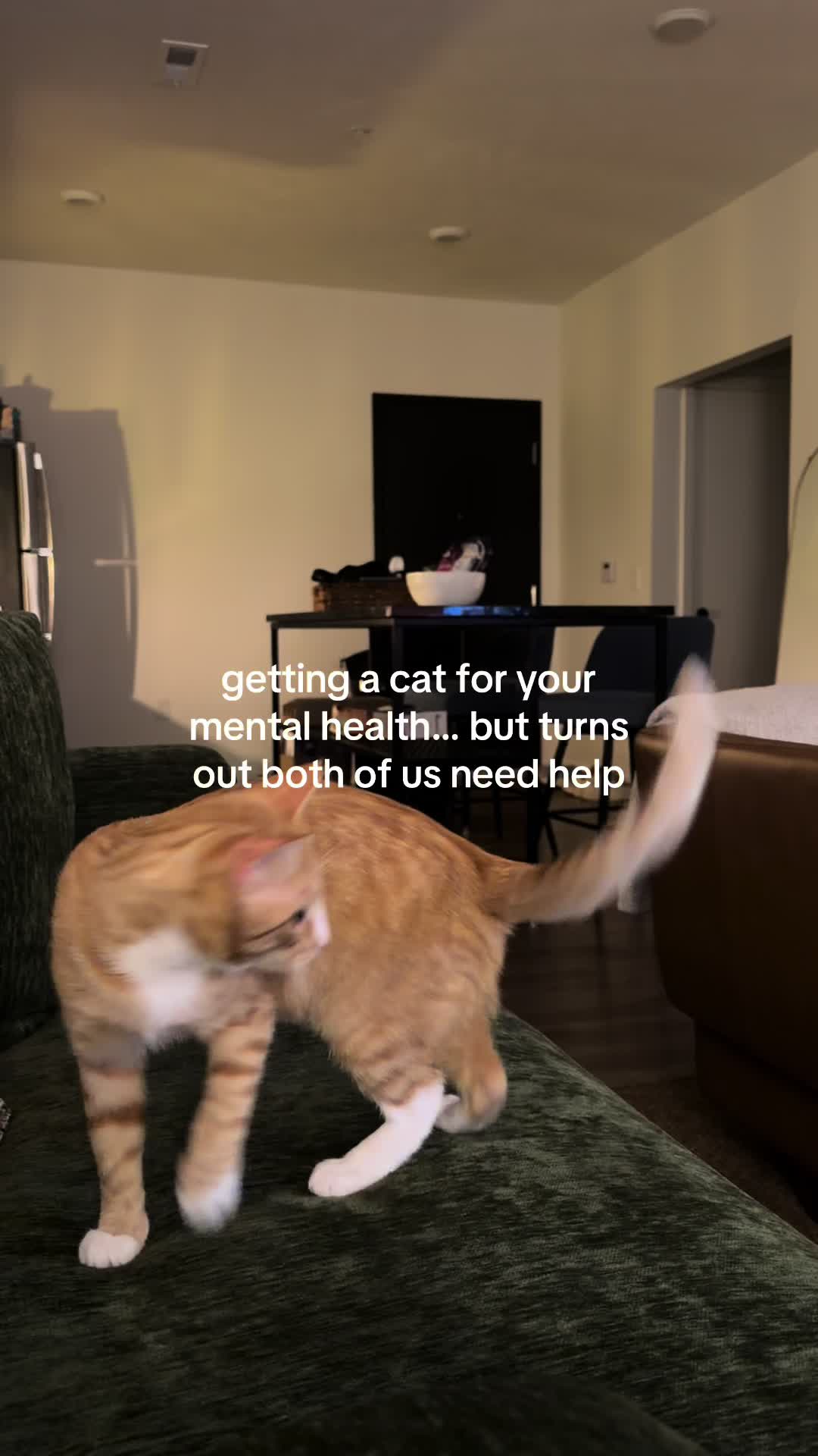 @Suzie