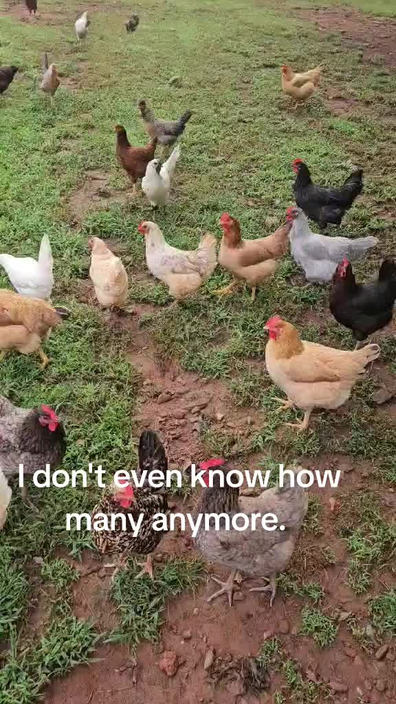 @Samantha Boccabello