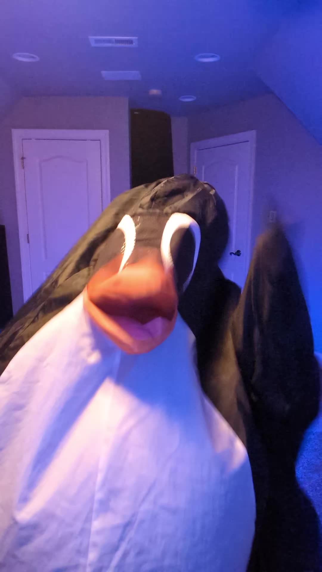 @Flipper