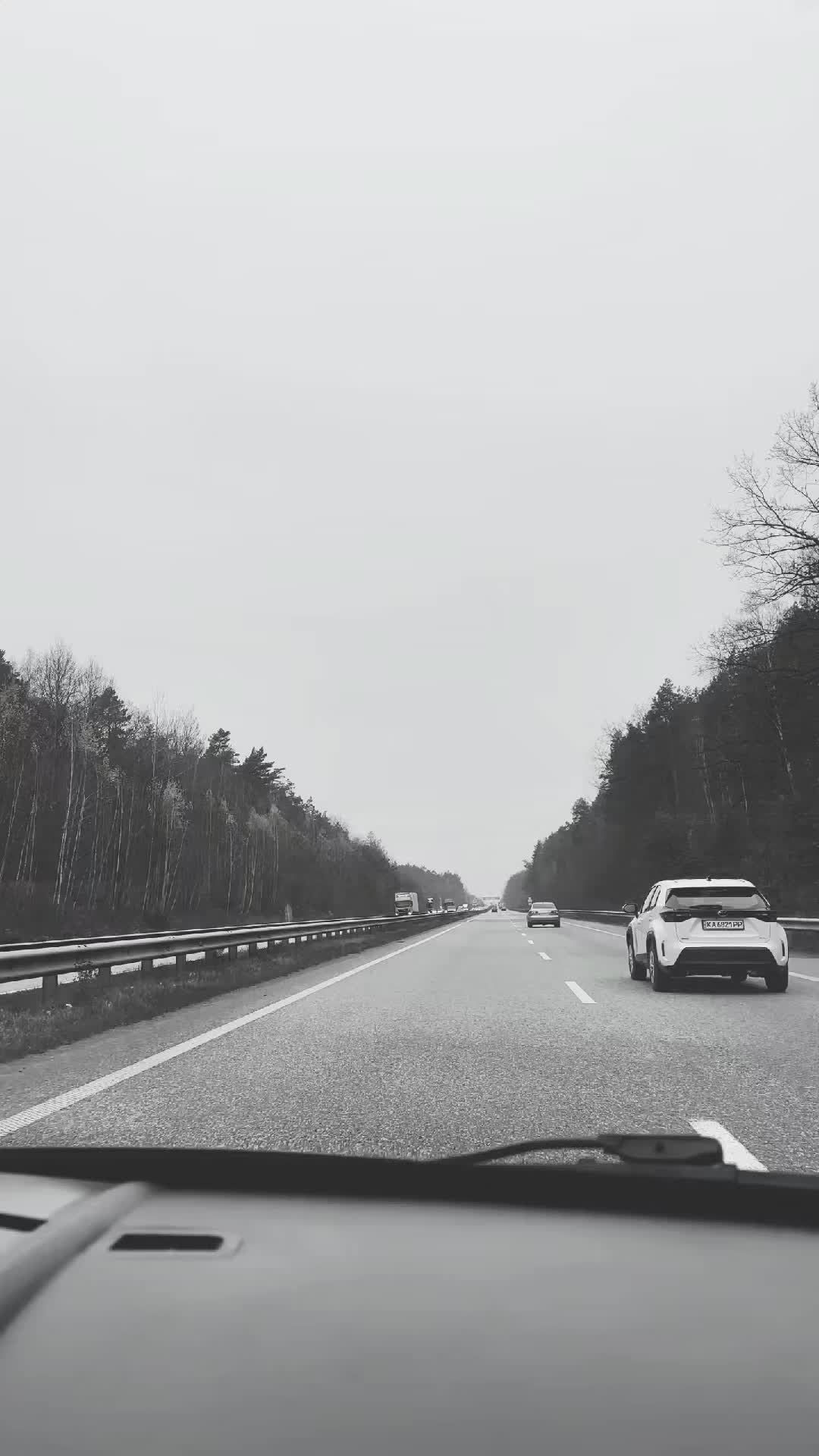 @Kojot