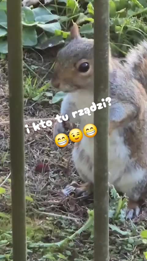 @mariuszmwm