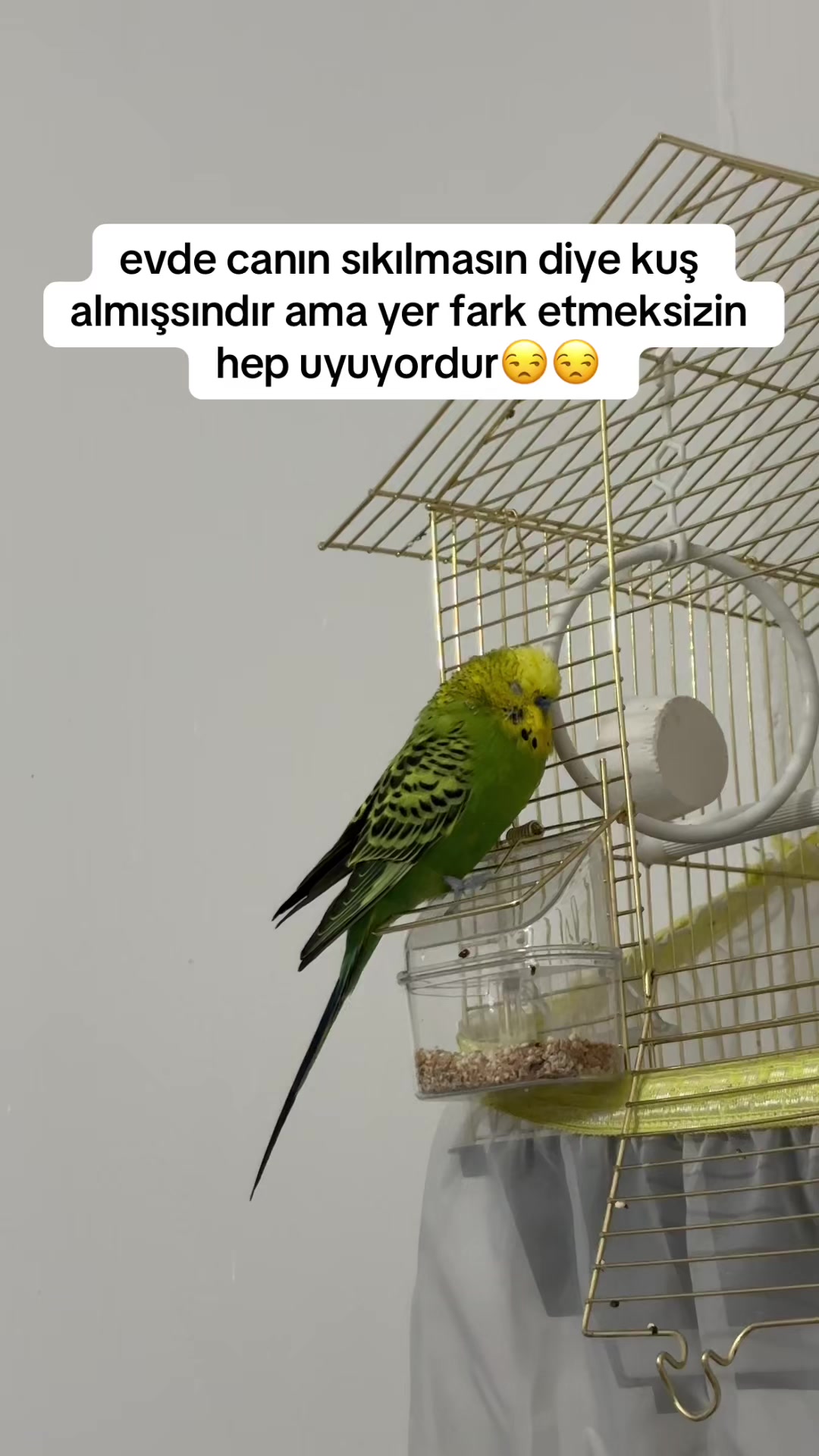 @1humeyarkus