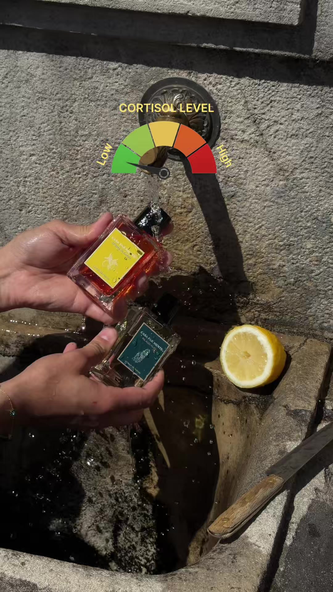 @casafarniente