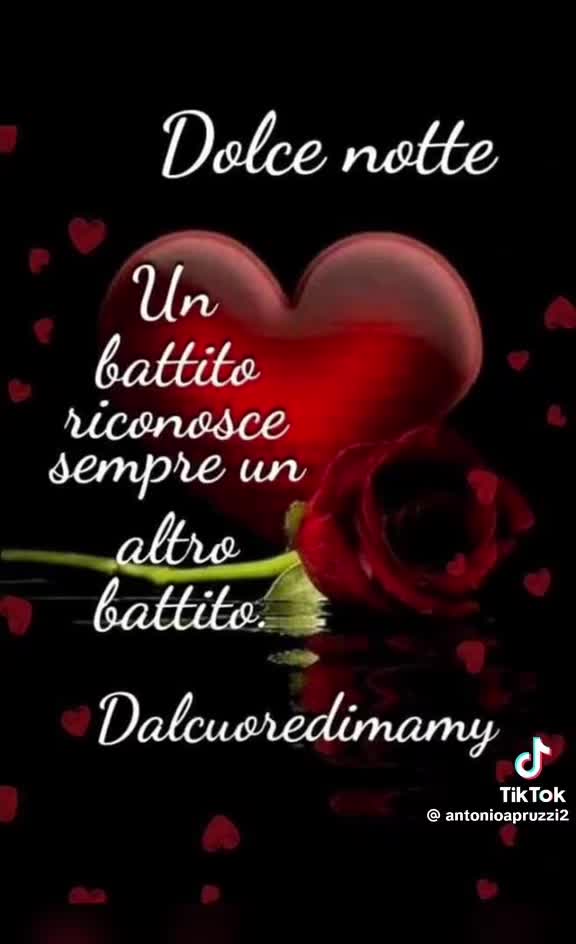@Salvo Virgillito952